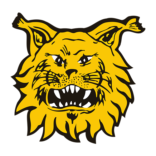 Ilves Tampere B