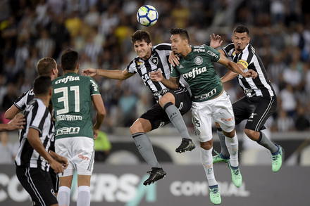 Botafogo x Palmeiras - Brasileiro 2018