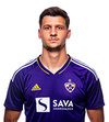 Sven Karic