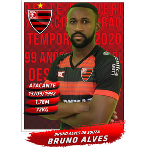 Bruno Alves (BRA)