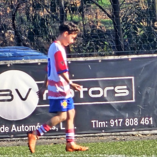 Jota