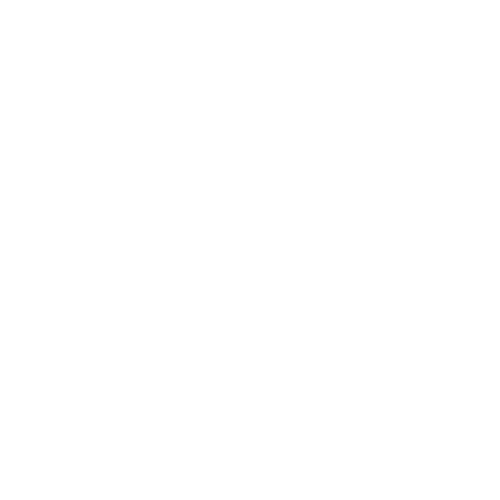 Ligue 1 McDonalds 2024/25