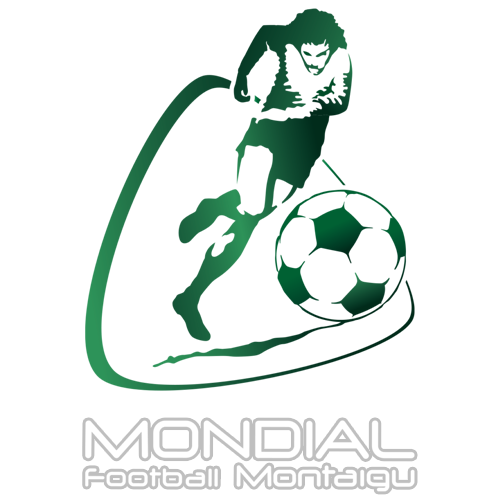 Torneio de Montaigu 2014