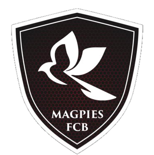 Brunos Magpies