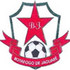 Fondazione del club come Botafogo Jaguar